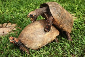 Just because you're enjoying something, does it mean your partner is enjoying it too?